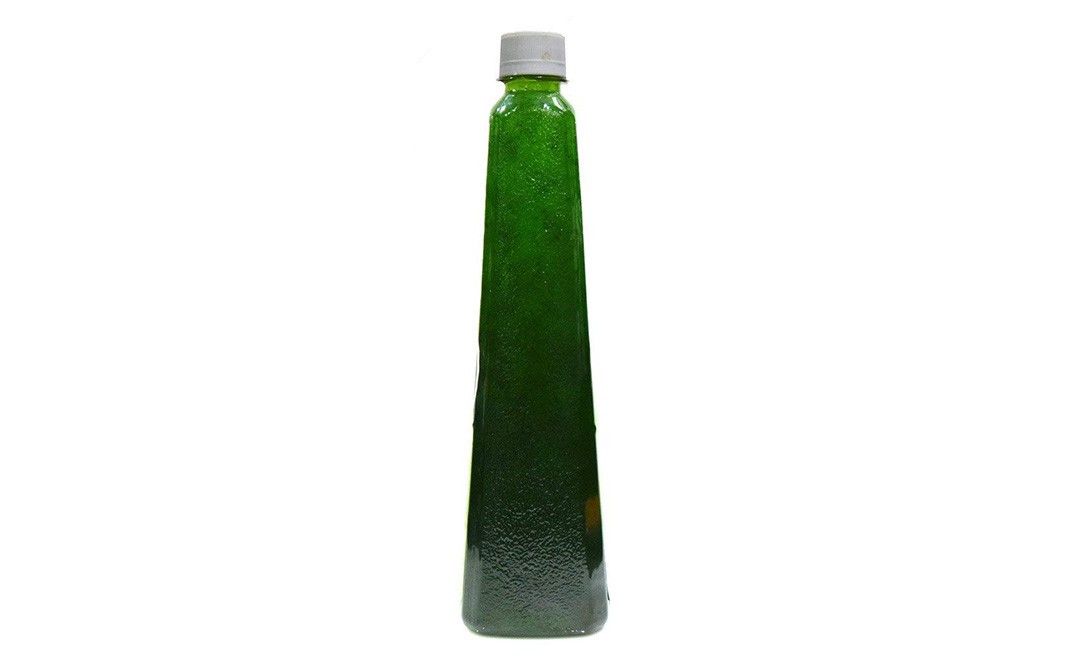 Malvi's Paan Shot Syrup    Bottle  750 millilitre